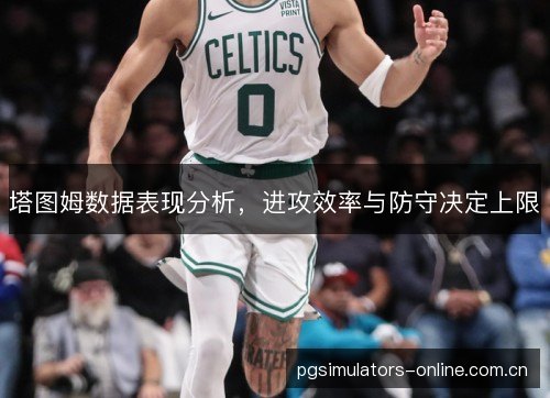 塔图姆数据表现分析，进攻效率与防守决定上限